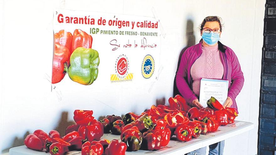 Labradores de la IGP del Pimiento Fresno-Benavente llevan a sus fincas semillas del campo de ensayo