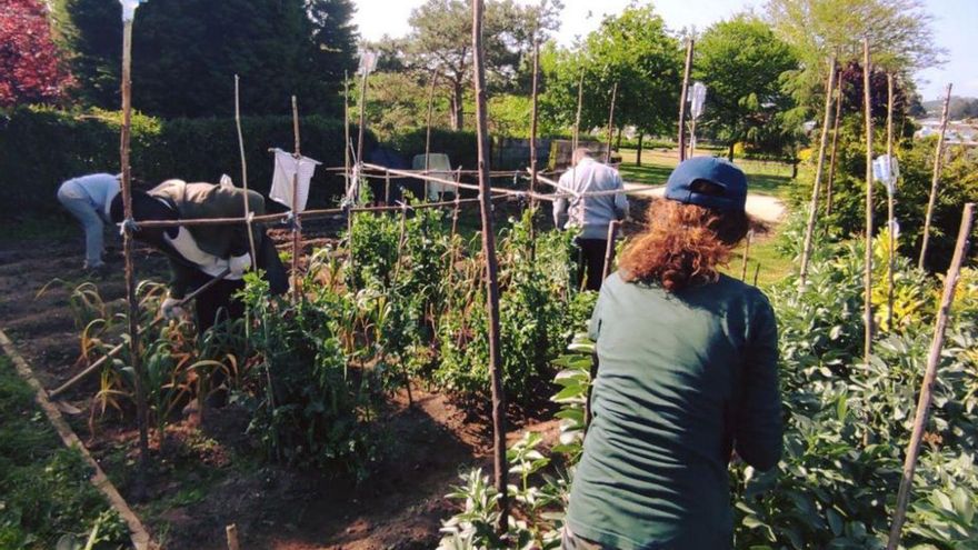 Huertos urbanos para cultivar la inclusión sociolaboral