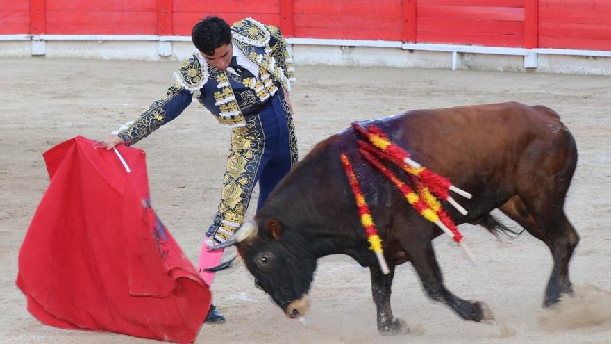 Los toros de Miura regresarán a Inca tras casi cien años