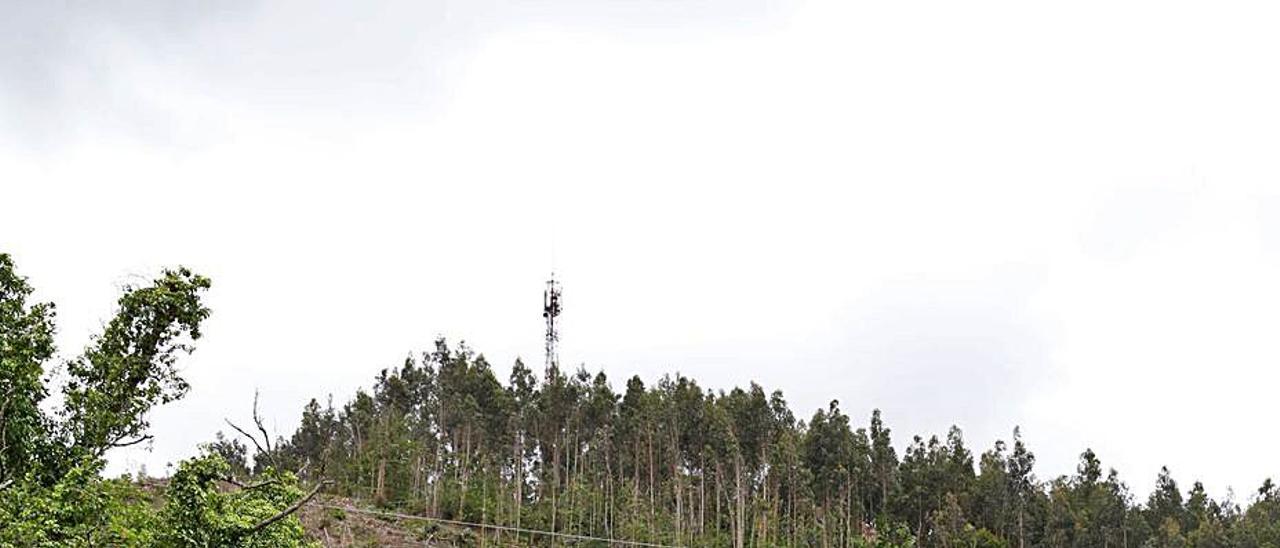 Zona de monte en el Ventorrillo en la que se talaron árboles. | M. Villamuza