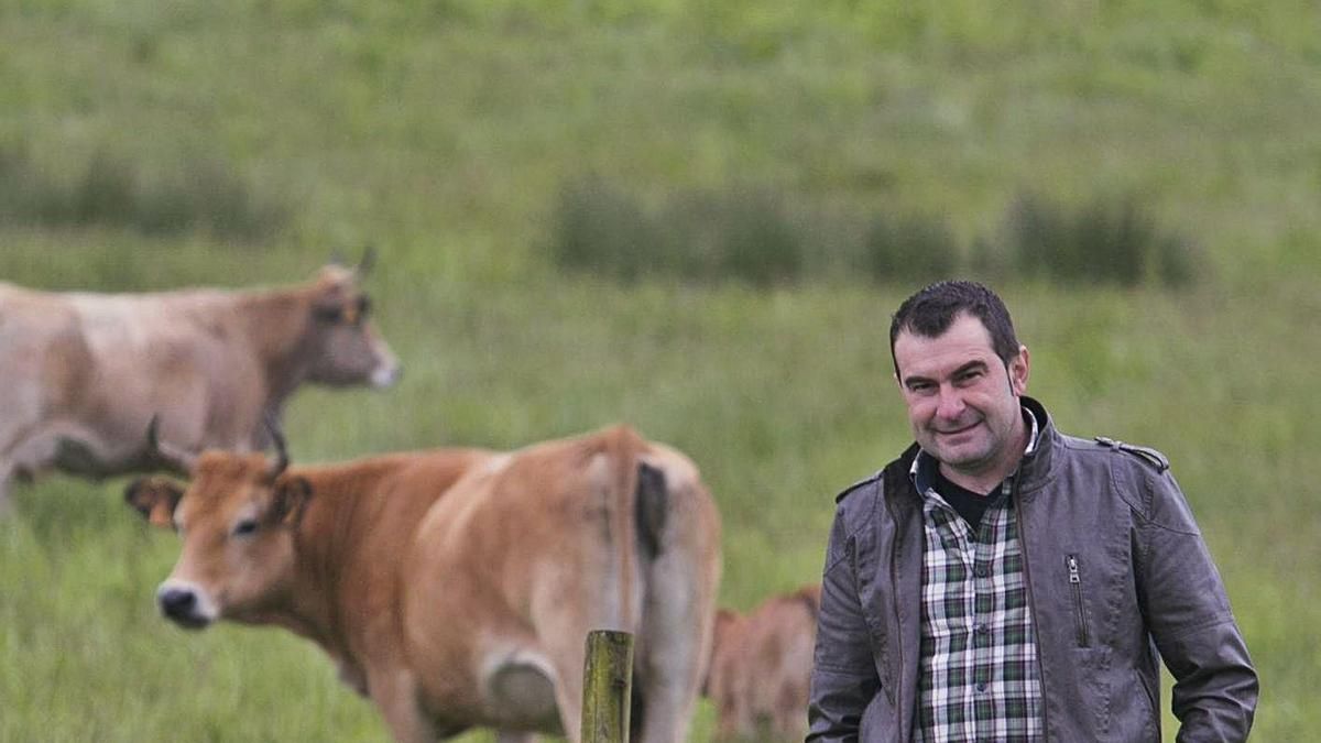 Rubén Fernández, presidente de la IGP Ternera Asturiana. | Miki López