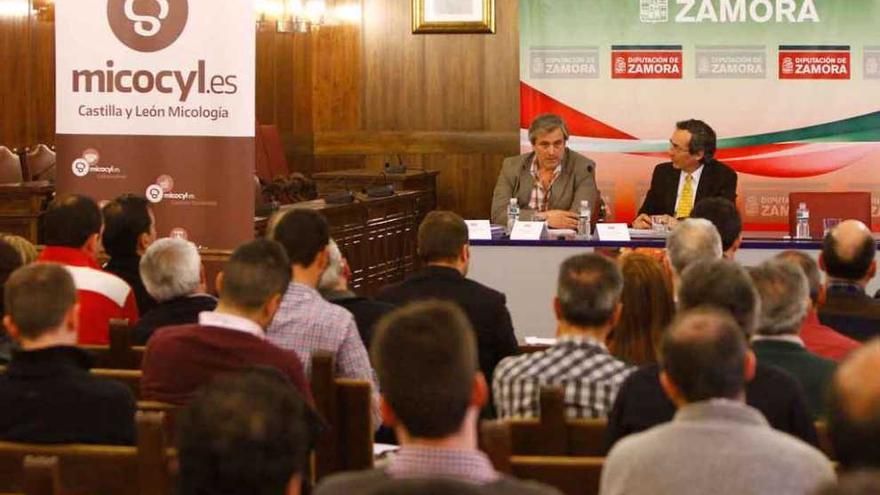 Los participantes escuchan una ponencia en el salón de plenos de la Diputación.