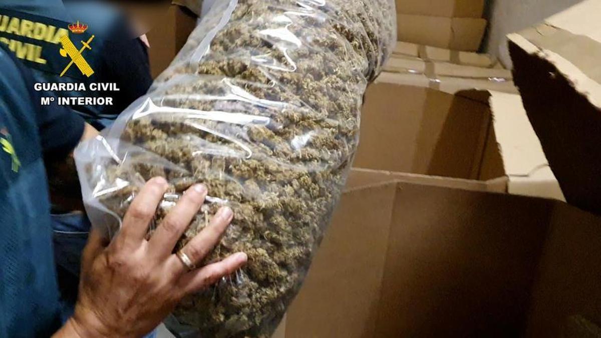 Una operación de la Guardia Civil contra las redes de producción de marihuana en Toledo