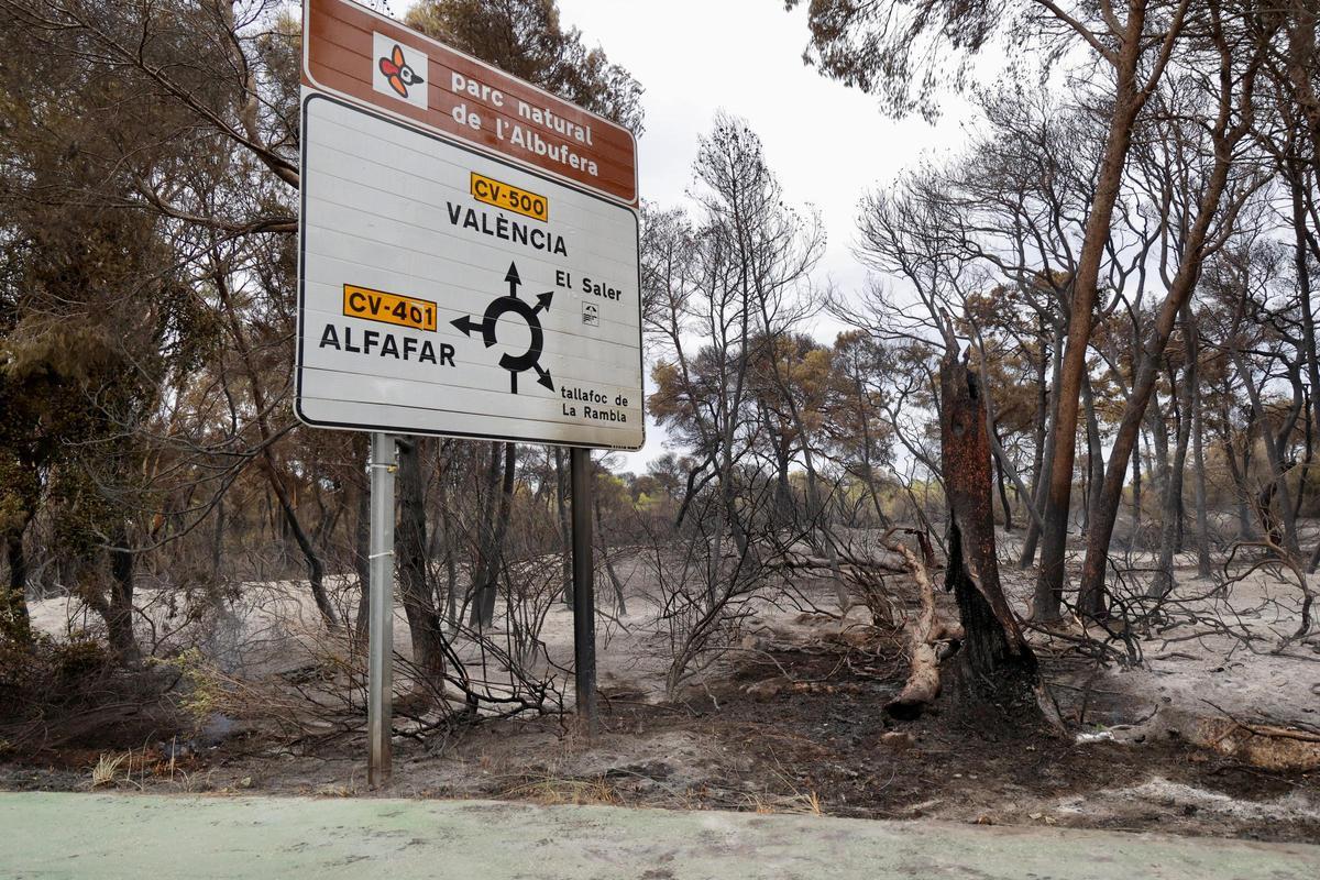 Las primeras imágenes del Saler tras el devastador incendio en la Devesa