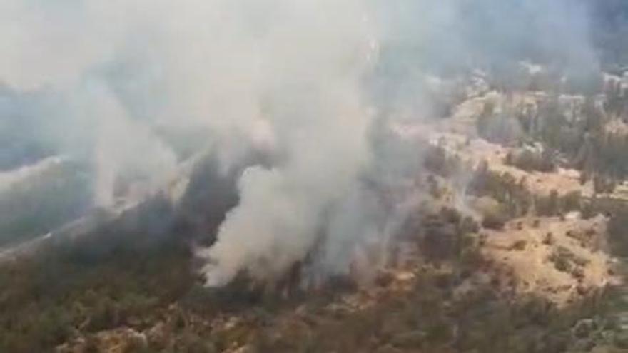 Un incendio forestal obliga a cortar la N-230 en Arén