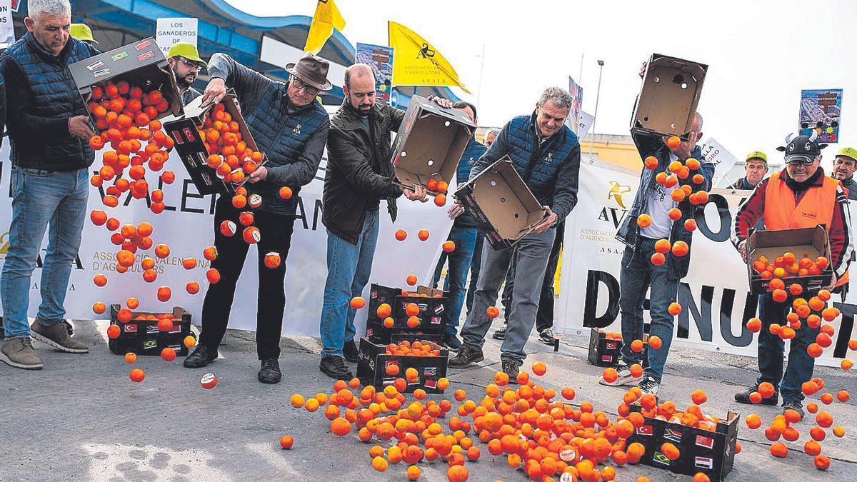 Representantes de los agricultores tiran naranjas en protesta por la entrada de fruta de Egipto, en febrero en Castelló.