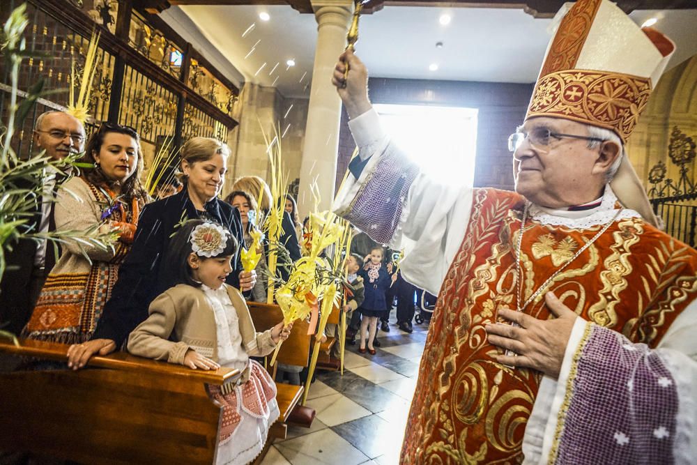 Domingo de Ramos en Orihuela