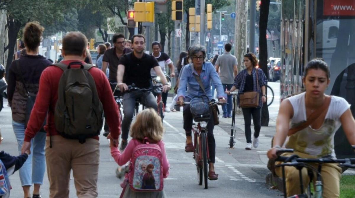 ialvarez36491238 teletodo  prigrama 30 minuts 11 de desembre 2016 torna la bi161209172259