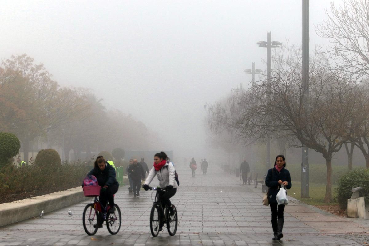 La niebla reina en Córdoba