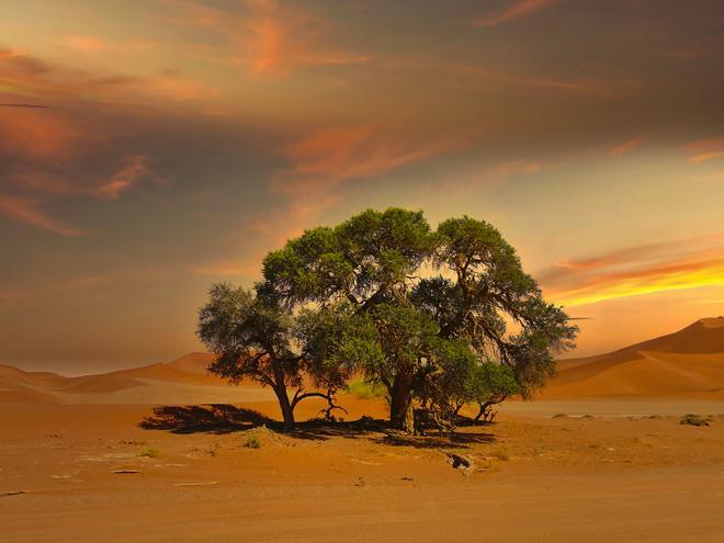 Desierto de Namibia.