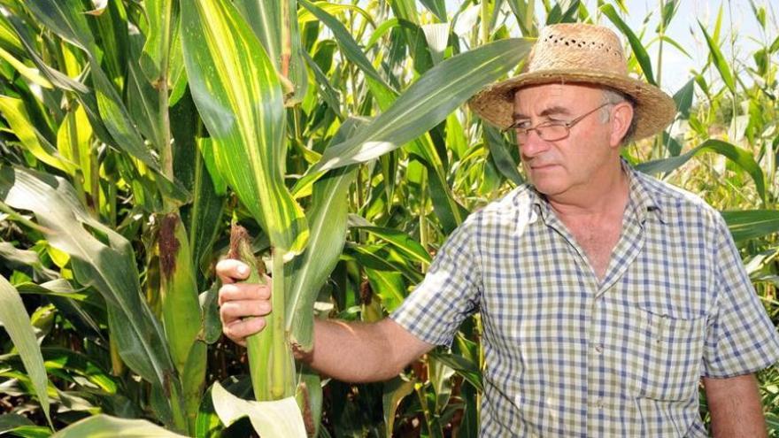 La UPV alerta de un controvertido ponente en una cita de agroecología en Vila-real