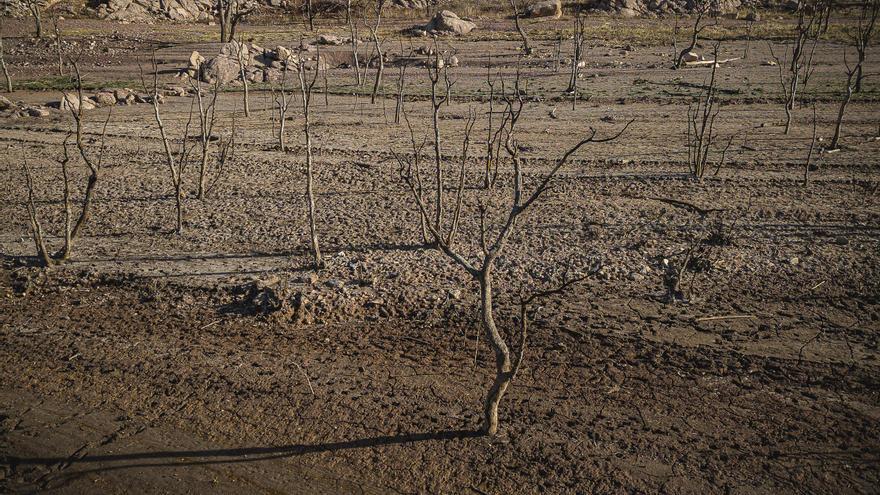 14,1 graus de mitjana: El planeta registra el març més càlid des que es tenen dades