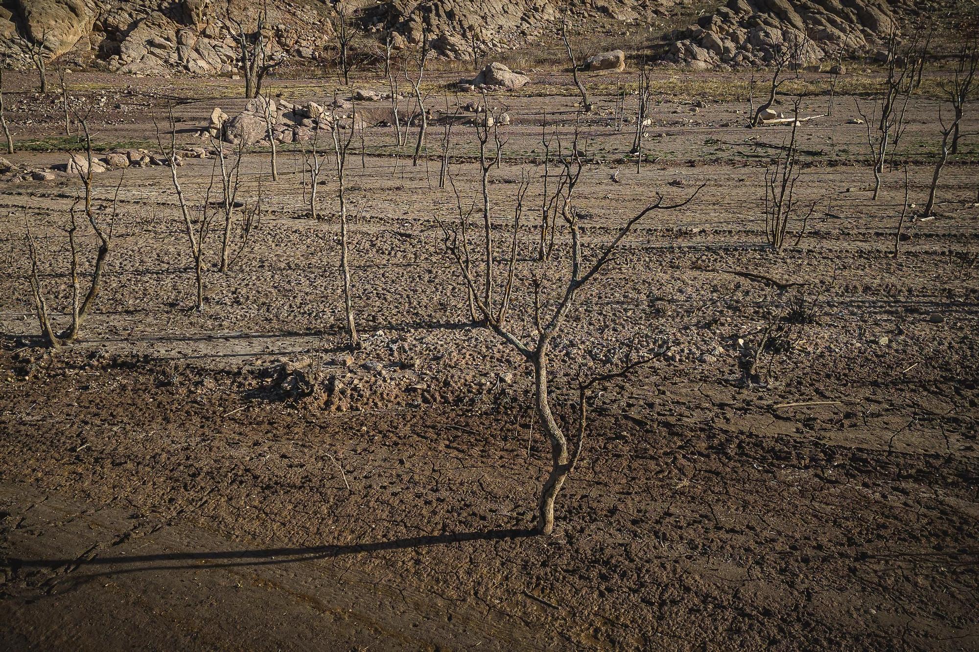 Galeria Imatges: la dramàtica situació del pantà de Dosrius Boadella a vista de dron