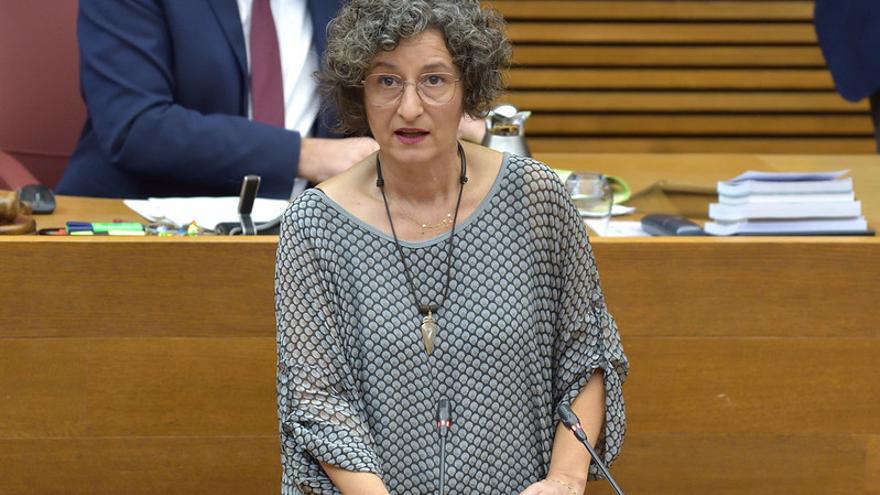 La diputada de Compromís, Graciela Ferrer