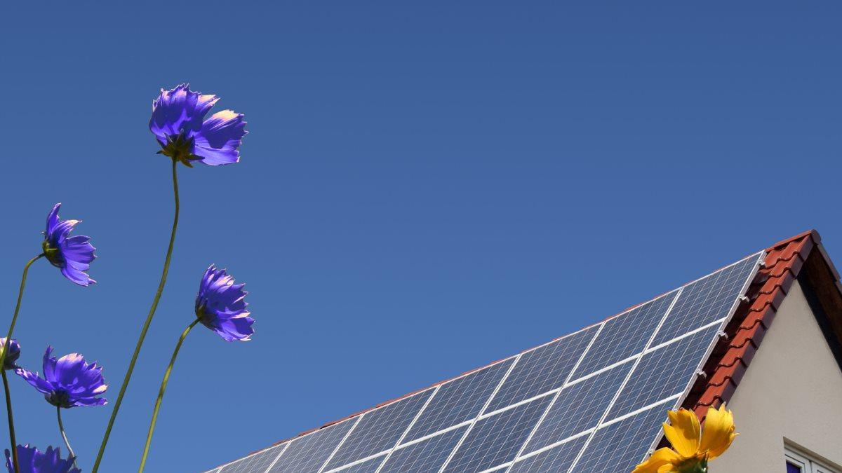 El autoconsumo energético se disparó en Canarias un 37% en 2024