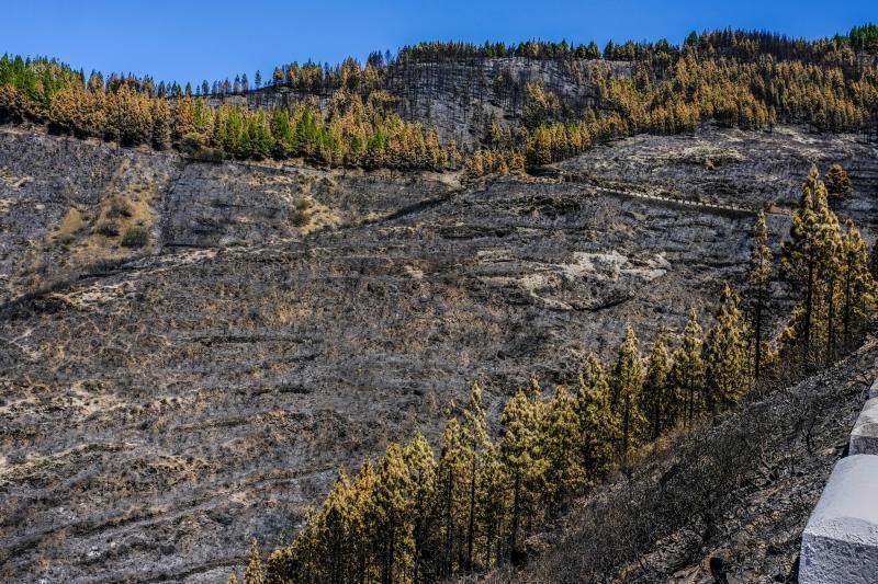 Consecuencias del incendio: De Valleseco a Artenar