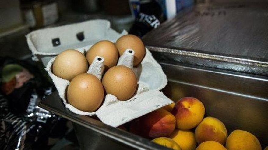 Ous al rebost d&#039;un restaurant a París