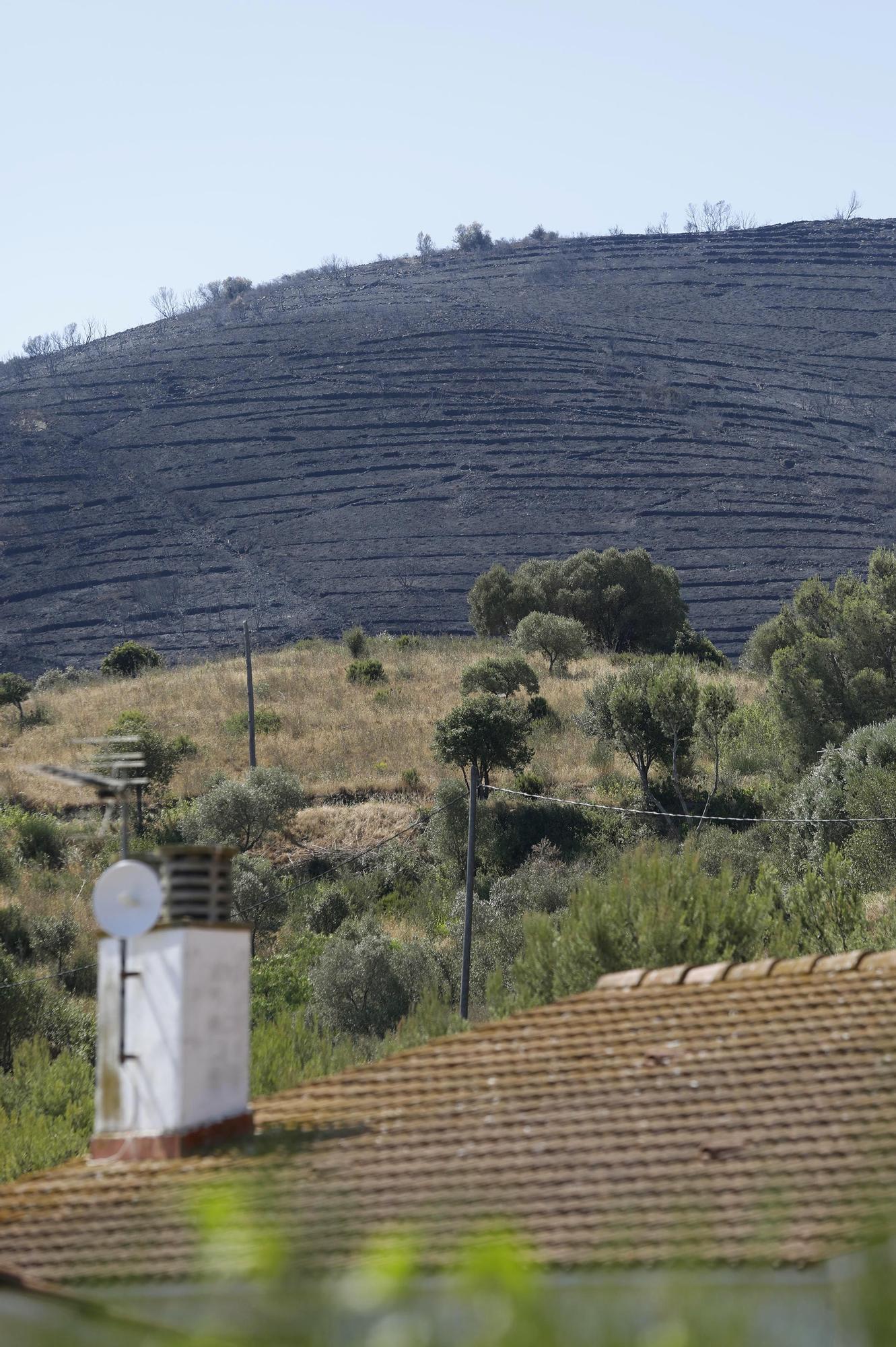 Treballs d'extinció i els danys de l'incendi de Llançà