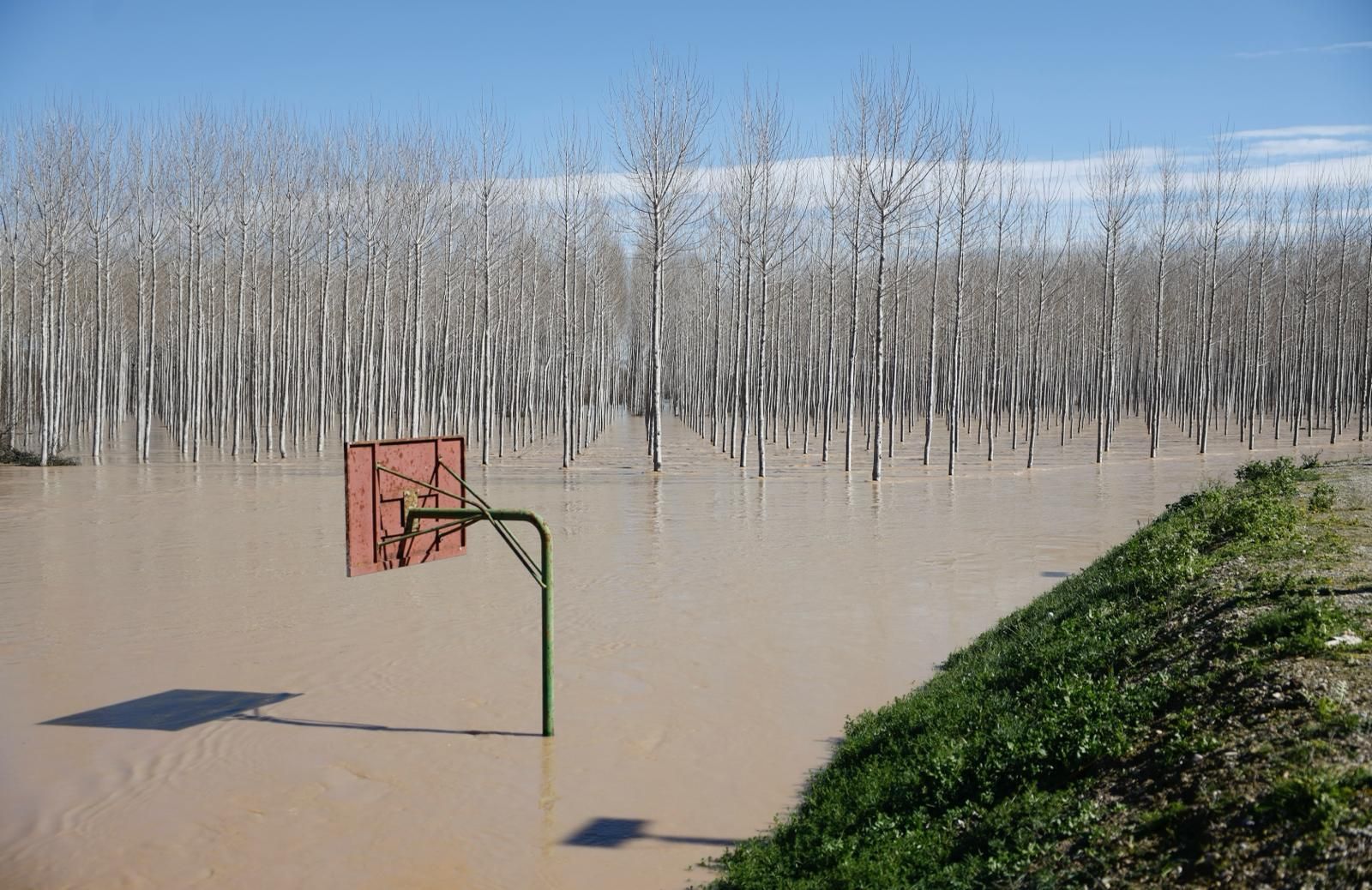En imágenes | Así transcurre la crecida del Ebro a su paso por Aragón