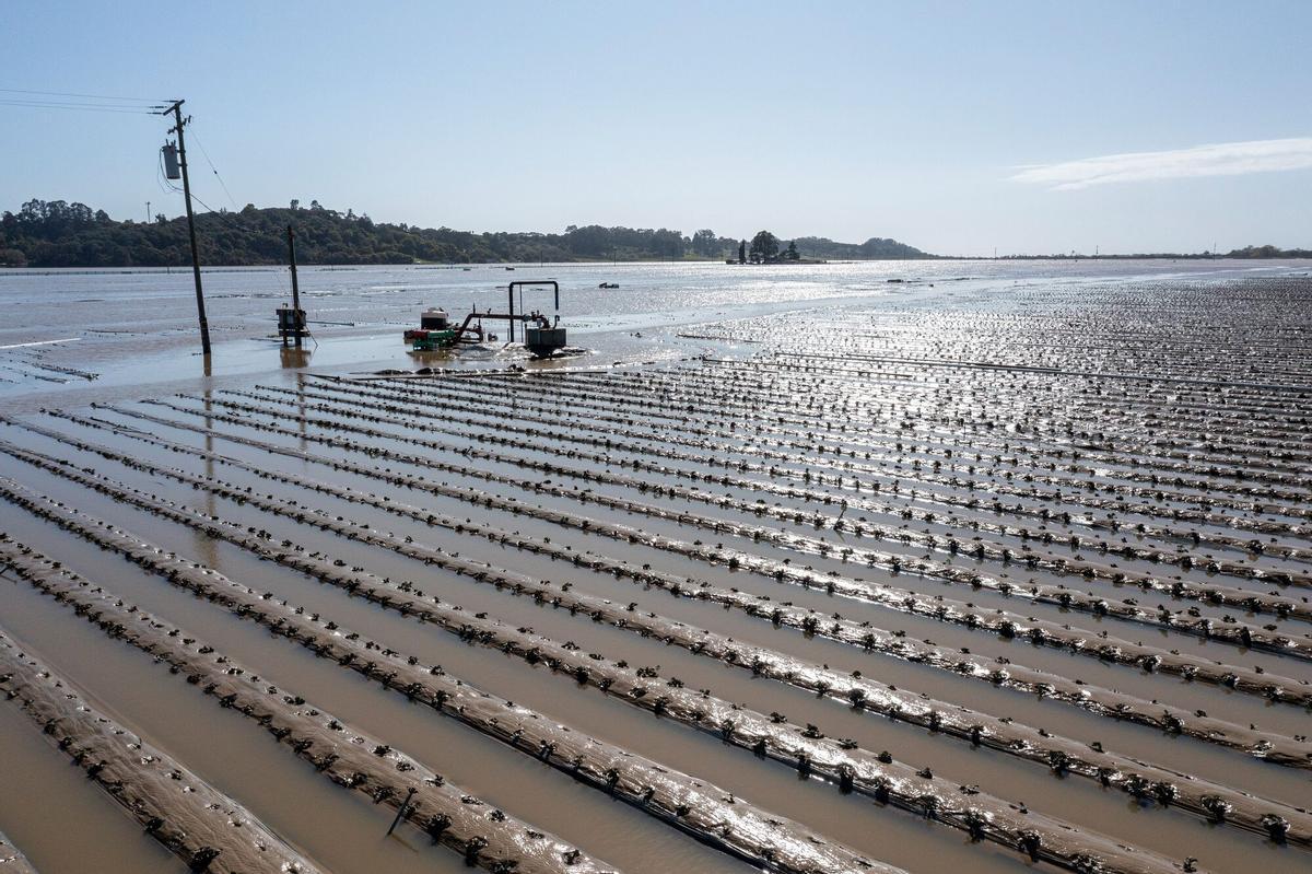 Campos inundados en Pájaro (California) debido al paso de un río atmosférico