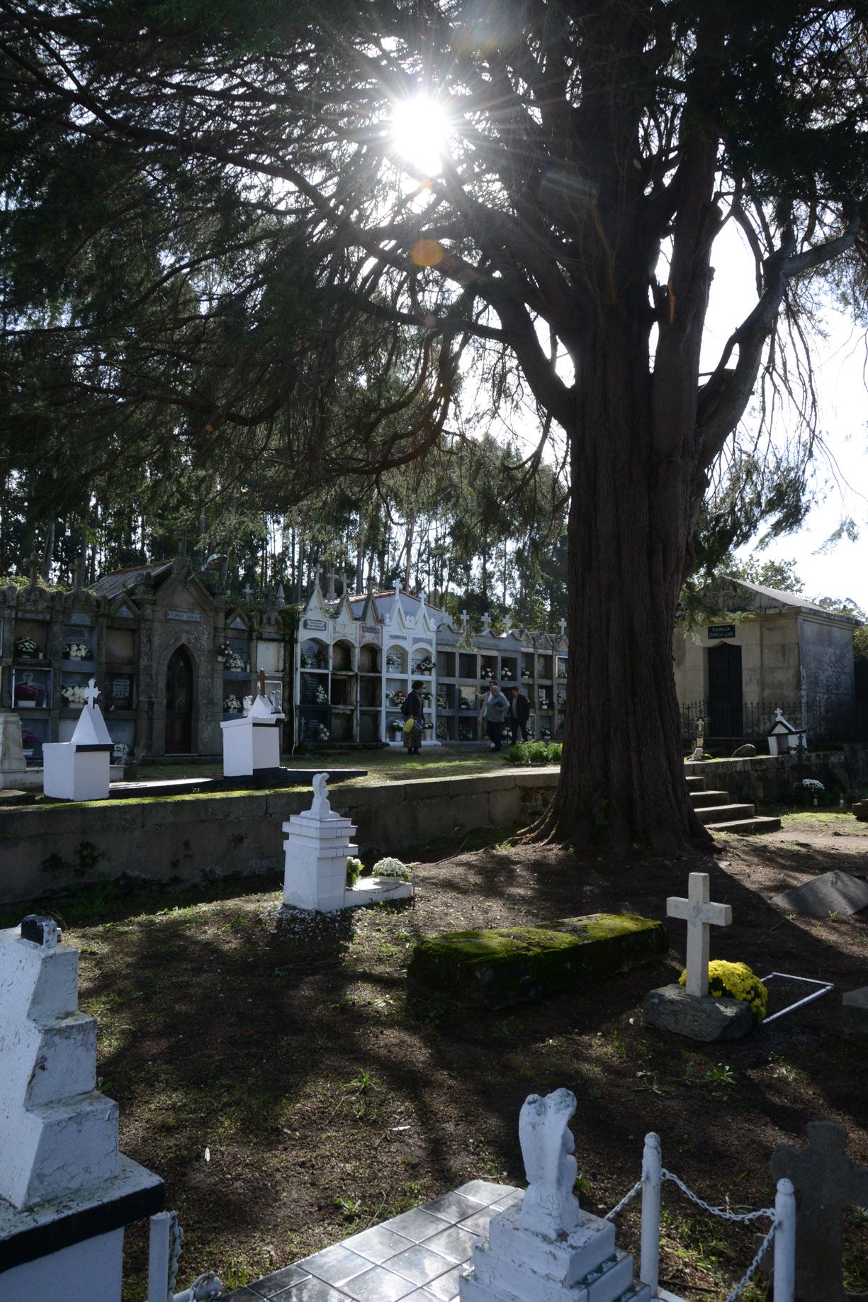 Día de Todos los Santos en O Morrazo. Cementerio de Beluso