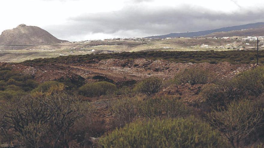 Terrenos donde se prevé construir el Circuito Insular del Motor.