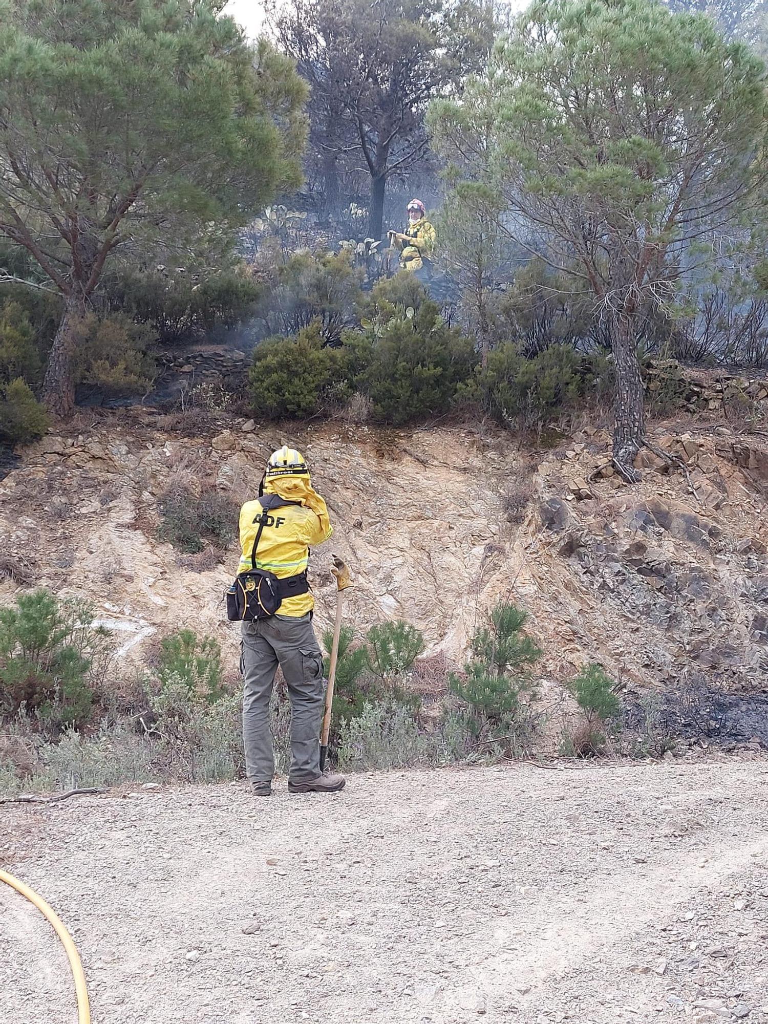 L'incendi que ha cremat a Portbou els dies 16 i 17 d'abril