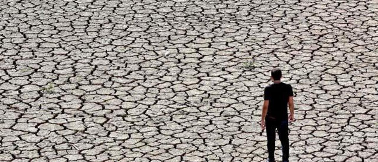 Calentamiento, sequía y polvo  del desierto en Alicante