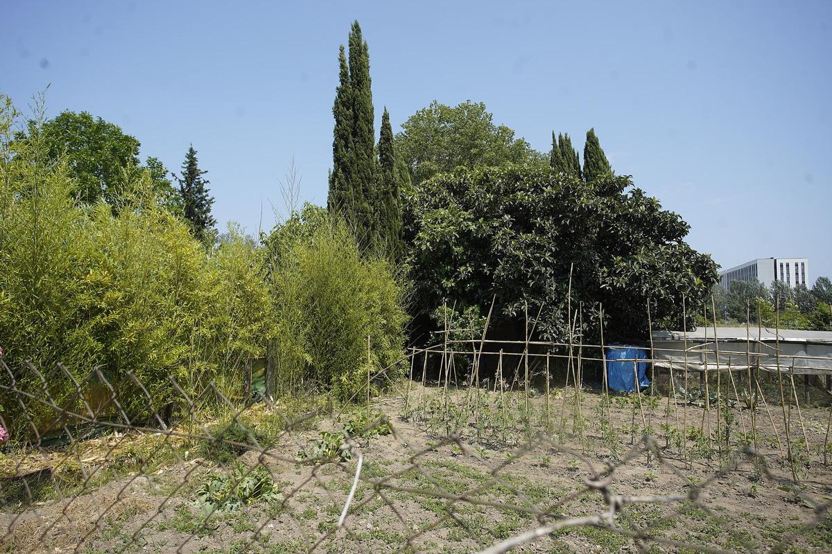 Un punt de les hortes, en una imatge d'arxiu.