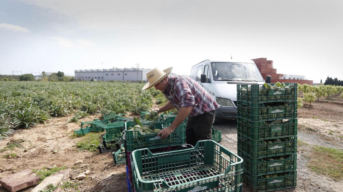 Un agricultor en la huerta de Torrefiel