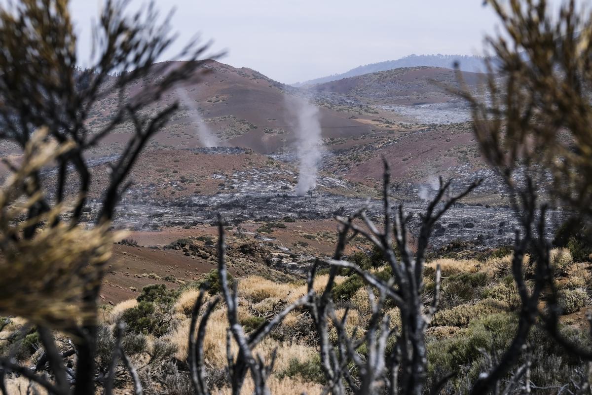 Estabilizado el incendio de Tenerife