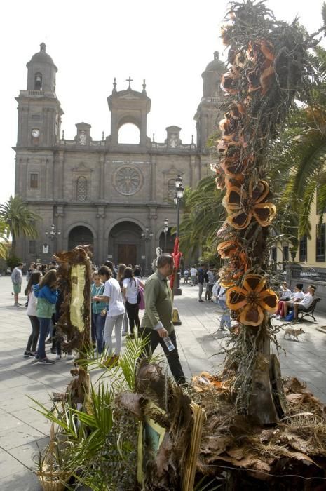 CONCURSO DE CRUCES DE MAYO