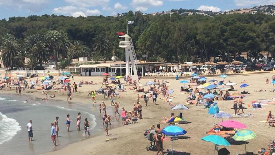 Aparece otra carabela portuguesa en la playa de Platgetes de Moraira