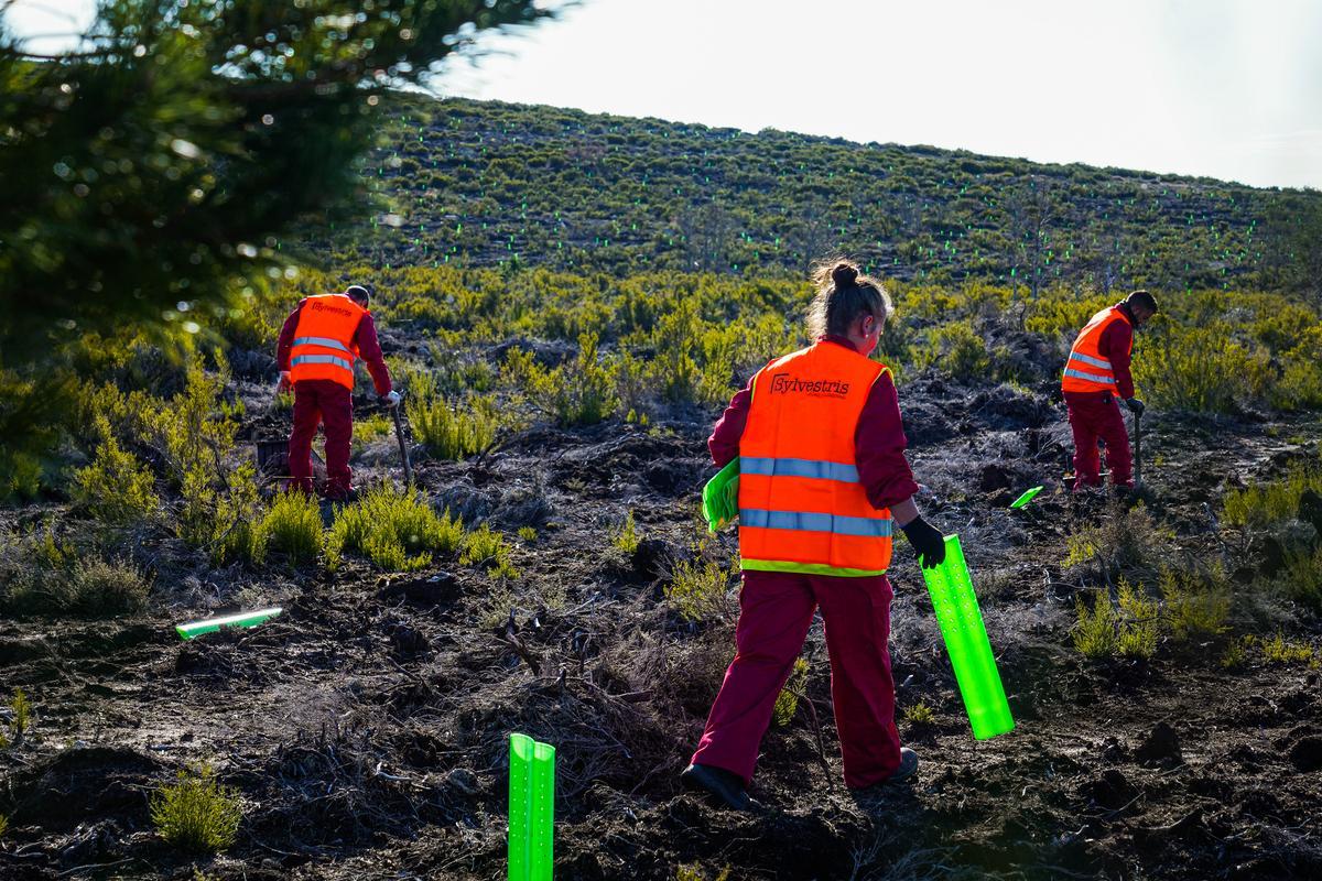 Fundación Repsol, impacto medioambiental, social y económico en el entorno rural