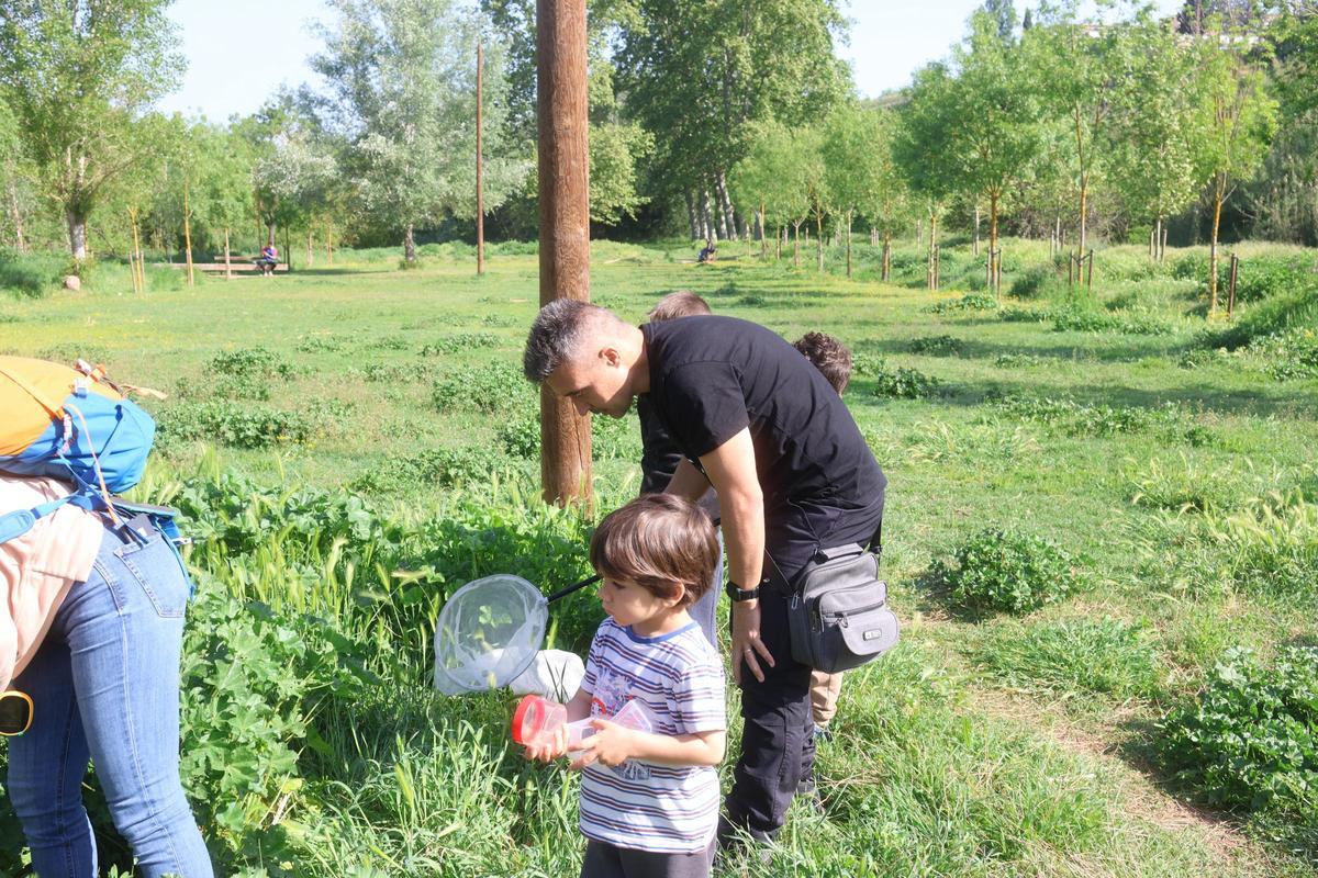 Unes 85 perosnes aficionades a la natura han participat al Bioblitz
