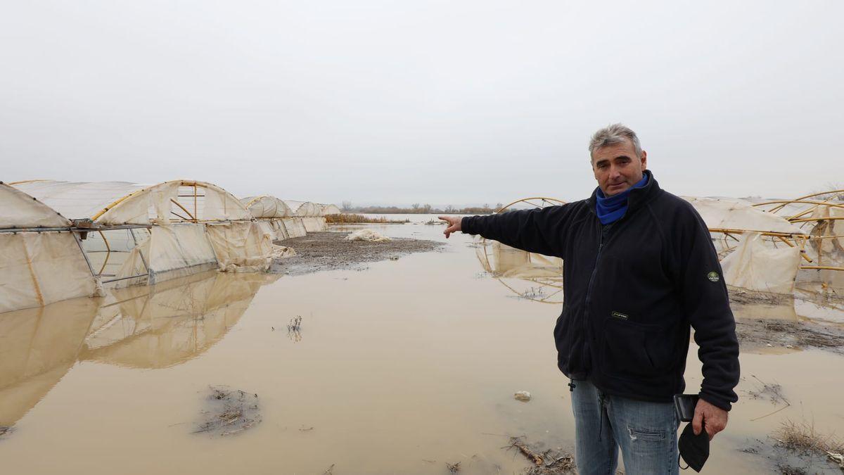 Jesús Tomás, un agricultor de Villafranca de Ebro, señala sus invernaderos de bisaltos, anegados por la crecida del río.