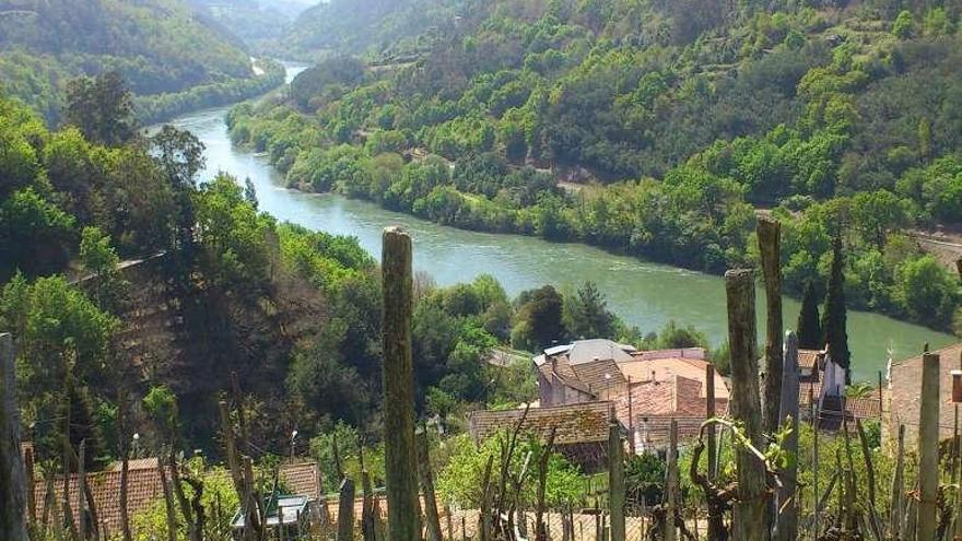 Zona por donde se prevé el trazado de la A-76.