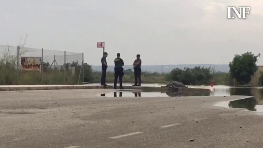 Hallan el cadáver del holandés desaparecido en Dolores