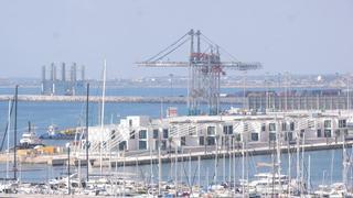 El Consell apuesta por crear un "hub" tecnológico y de formación en inteligencia artificial en el Puerto de Alicante