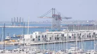 El Consell apuesta por crear un "hub" tecnológico y de formación en inteligencia artificial en el Puerto de Alicante