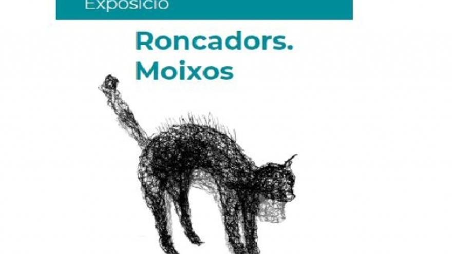 Roncadores, gatos