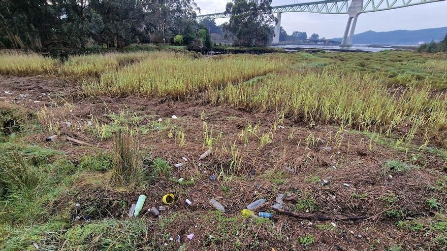 Una de las zonas del río Ulla afectadas por la basura.