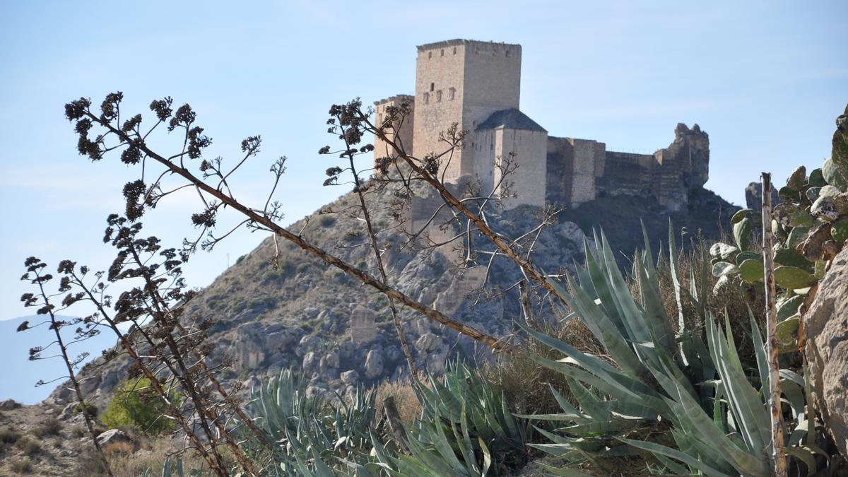 Castillo de Mula.