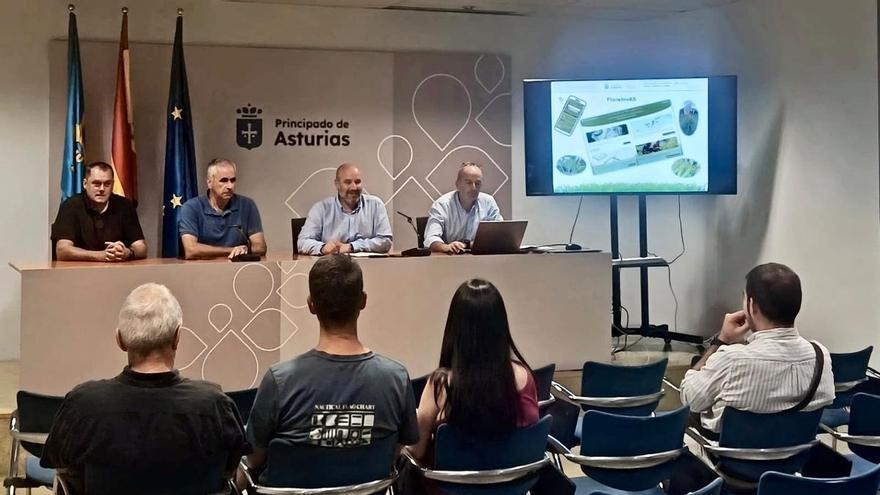 El Principado lanza una aplicación para informar y registrar la presencia de plantas invasoras con la ayuda ciudadana