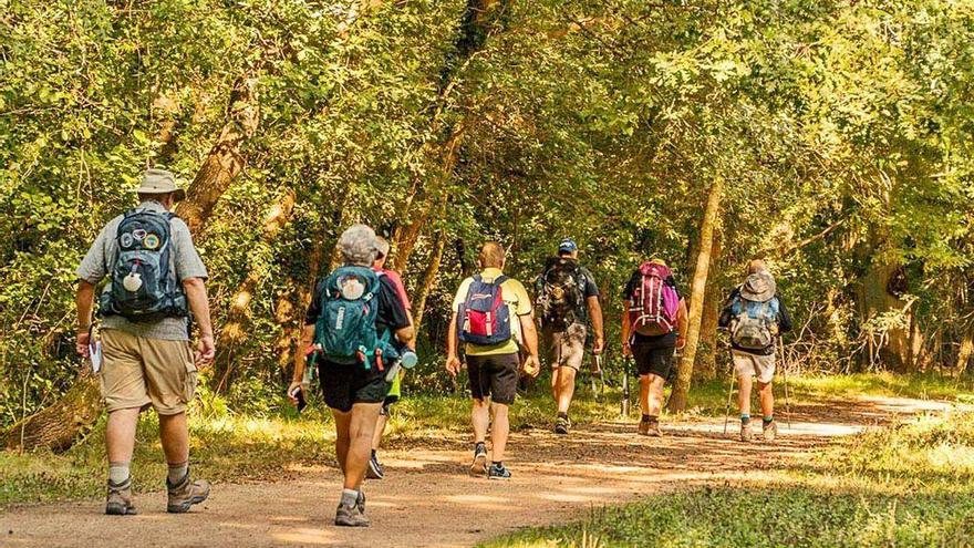 Peregrinos, en un tramo del Camino de Santiago.