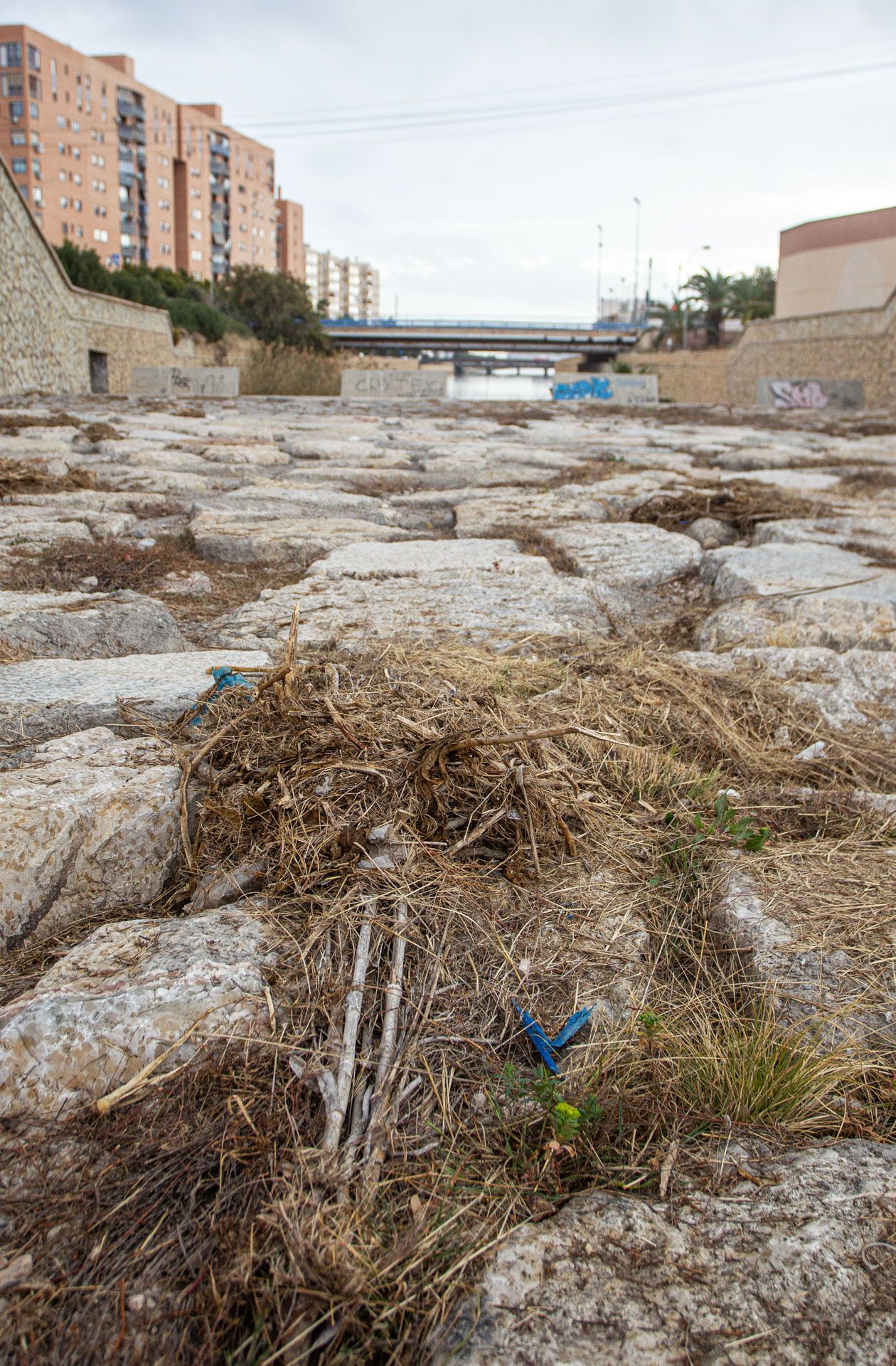 Los vecinos exigen la limpieza del Barranco de las Ovejas