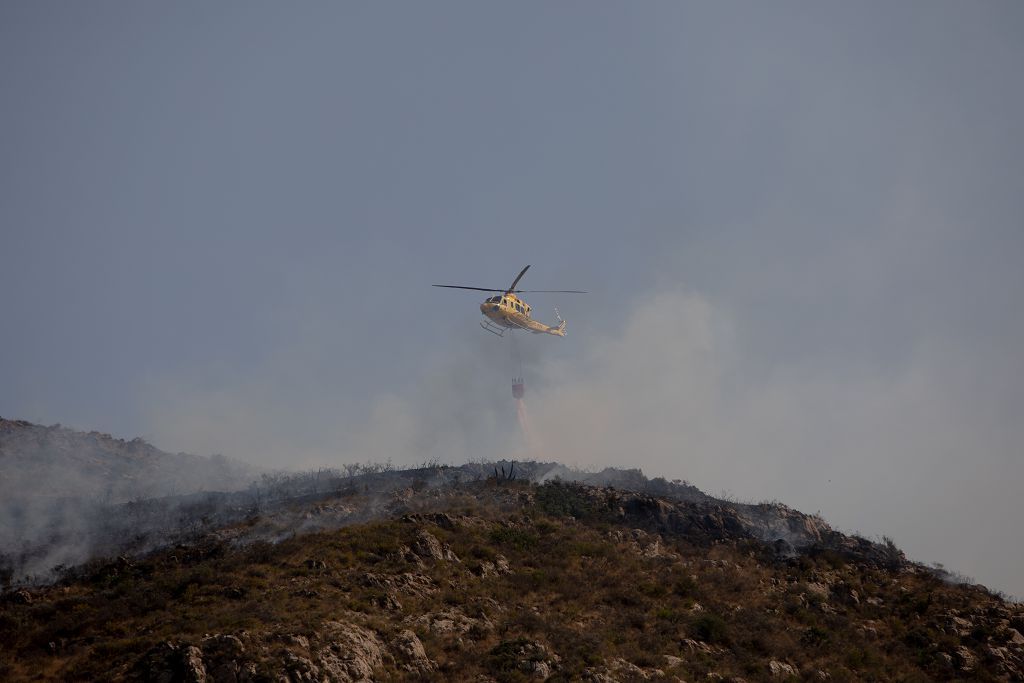 El incendio de las Cuestas del Cedacero, en imágenes