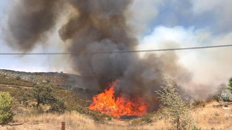 Estabilizado un incendio en Villafatigas