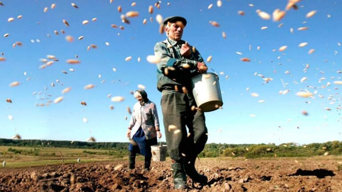 Cómo diseñar una agricultura frente el cambio climático