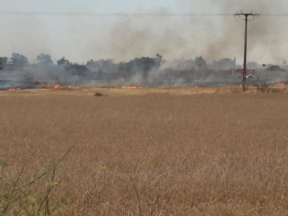 Incendio en Petra